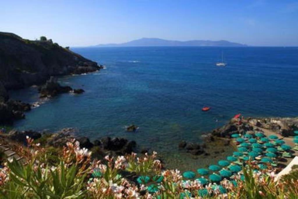 Near The Sea Big Panoramic House 2 Terraces In Lovely Village 蒙蒂亚诺 外观 照片